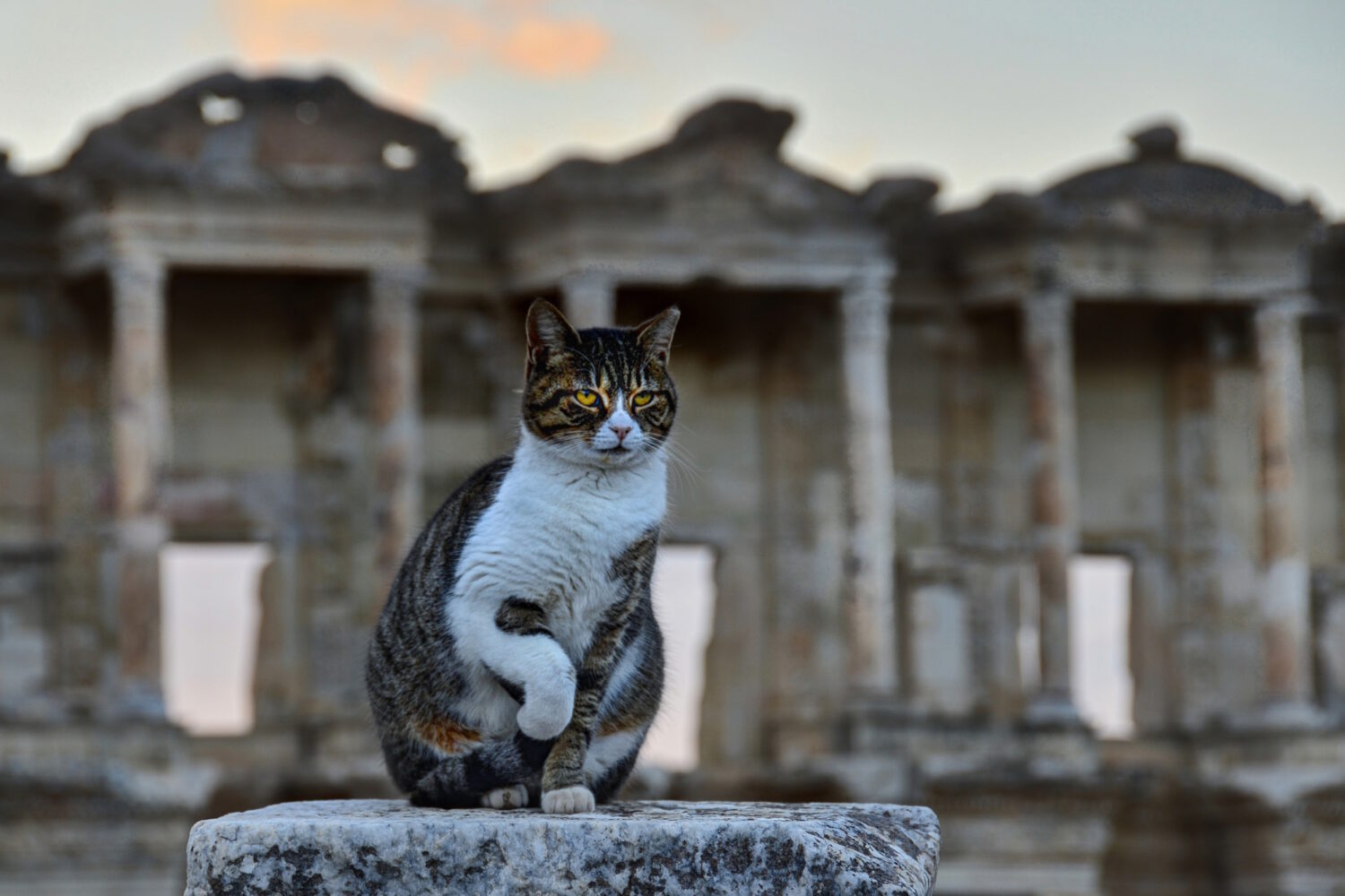 Estambul, Efeso, Pamukkale y Pergamo